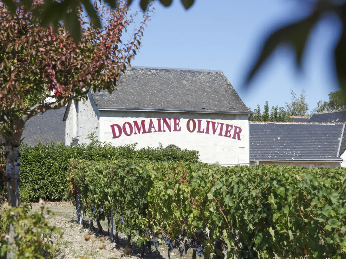 Portes Ouvertes du Domaine Olivier