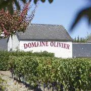 Portes Ouvertes du Domaine Olivier