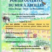 Portes ouvertes du mur à abeilles