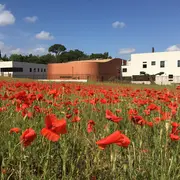 Portes Ouvertes - École Internationale IBS of Provence