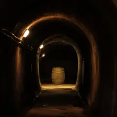 Portes Ouvertes en Madiran, au Chai Doléris
