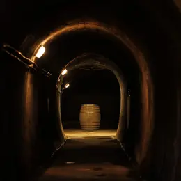 Portes Ouvertes en Madiran, au Chai Doléris
