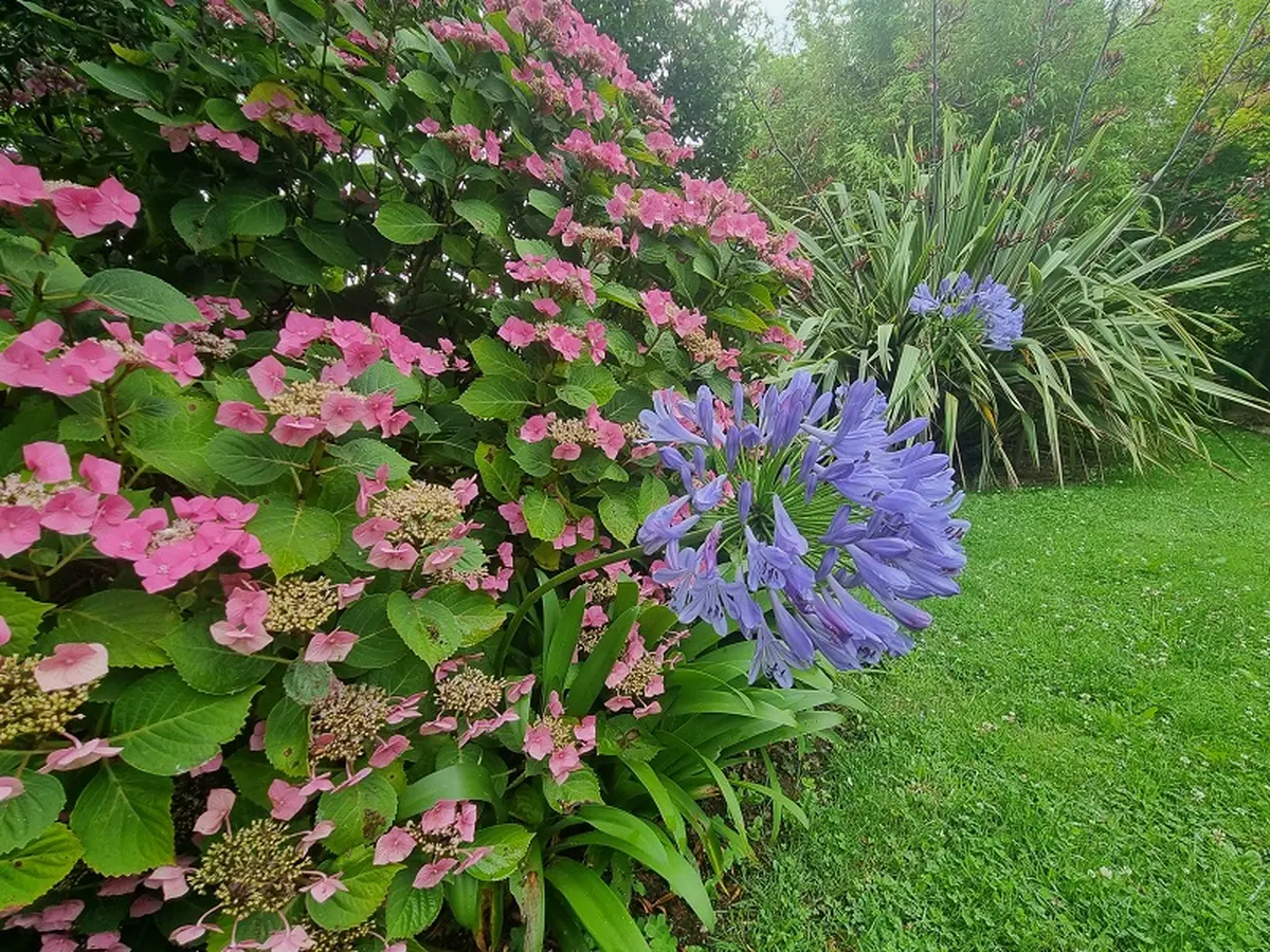 Portes ouvertes - jardin du presbytère