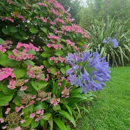 Portes ouvertes - jardin du presbytère