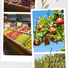 Portes ouvertes - Les Fruits de Clazay