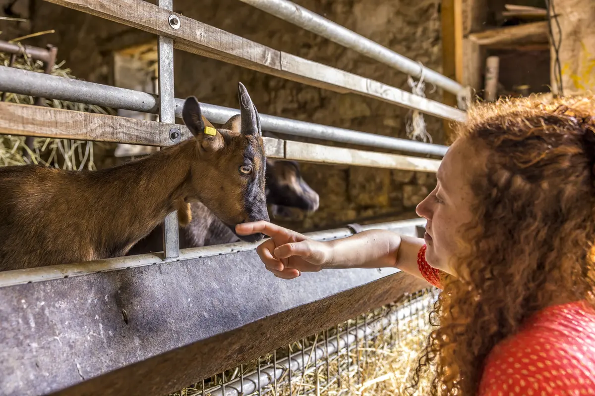 Portes ouvertes spéciales Noël et Fêtes