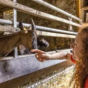 Portes ouvertes spéciales Noël et Fêtes