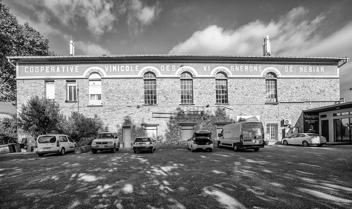 Portrait De Cave #nébian