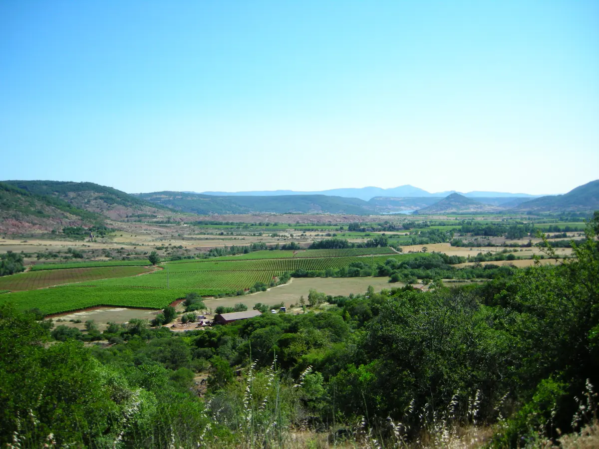 Portrait De Paysage : La Plaine Du Salagou