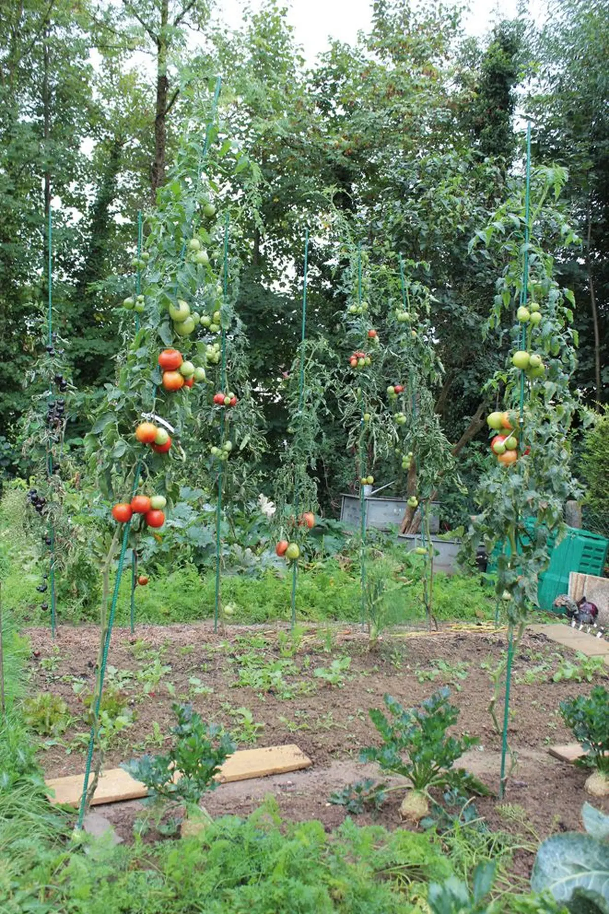 Avant de semer, il faut prévoir la bonne surface pour son potager et pouvoir nourrir toute la famille