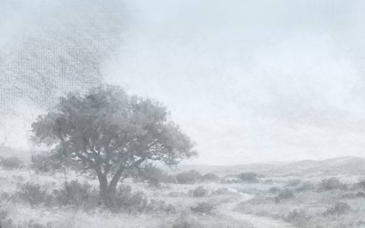 image de Cyrille Bernaud