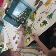 Pour les haut comme trois pommes