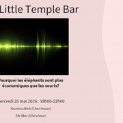 Pourquoi les éléphants sont plus économiques que les souris ? - Pint of Science 2026