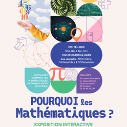 Pourquoi les mathématiques ?