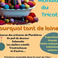 Pourquoi tant de laine?