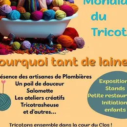 Pourquoi tant de laine?