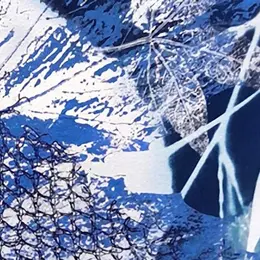 Pratique artistique - Cyanotype avec Miss V
