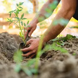 Près de Nantes, des terrains d'entreprises deviennent des potagers pour produire 1,4 tonne de légumes solidaires