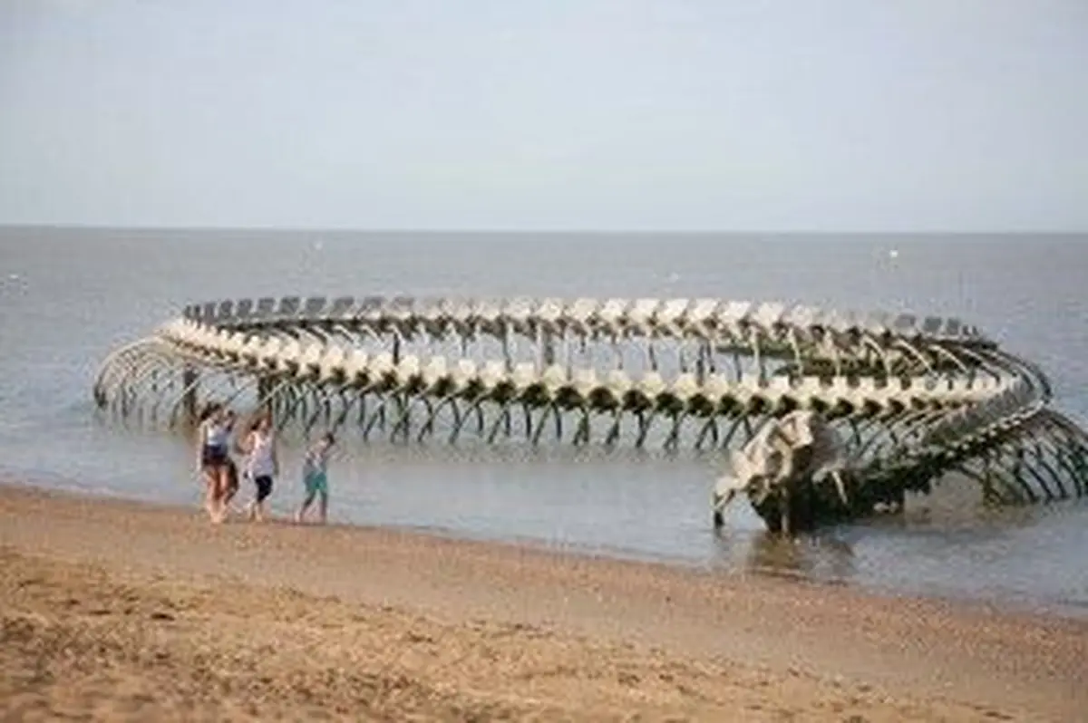 Près de Nantes, un serpent géant de 130 mètres apparaît et disparaît avec la marée