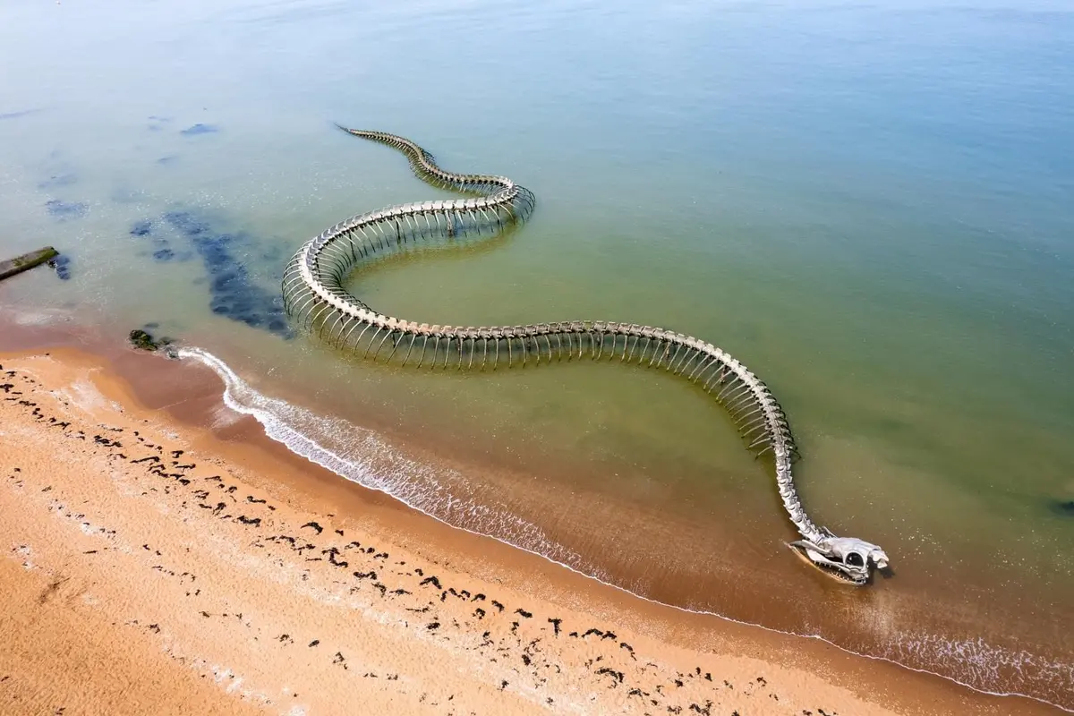Près de Nantes, un serpent géant de 130 mètres apparaît et disparaît avec la marée