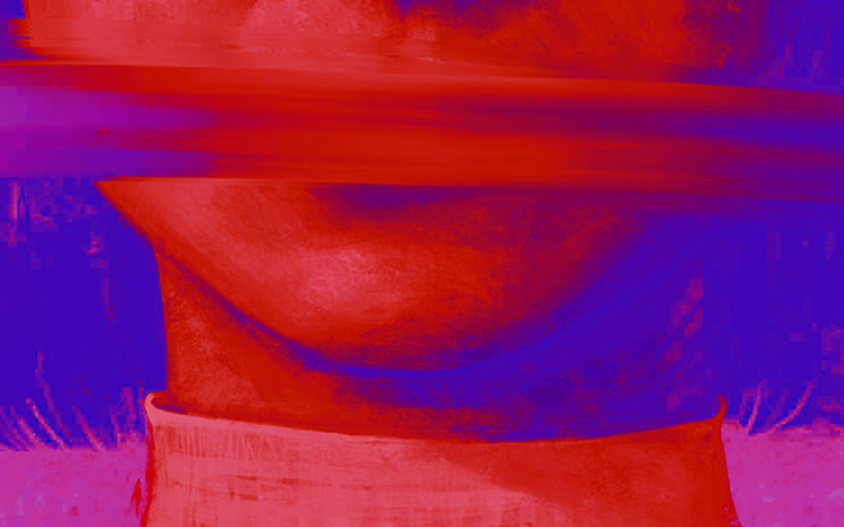 Présentation de l'ouvrage « Maternités autorisées, maternités proscrites »