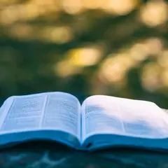 Présentation de la rentrée littéraire