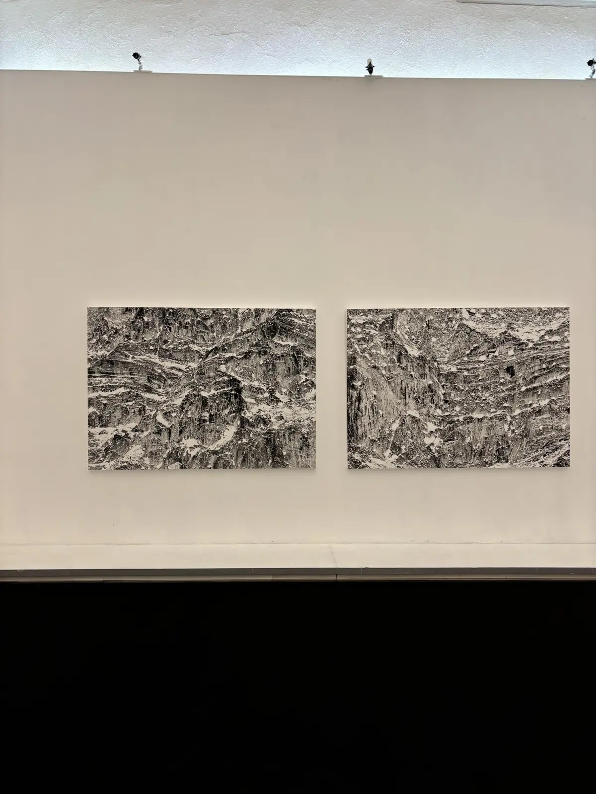 Présentation Edition d'artistes