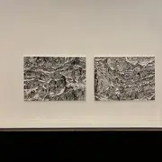 Présentation Edition d'artistes