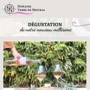 Présentation & dégustation de notre nouveau millésime