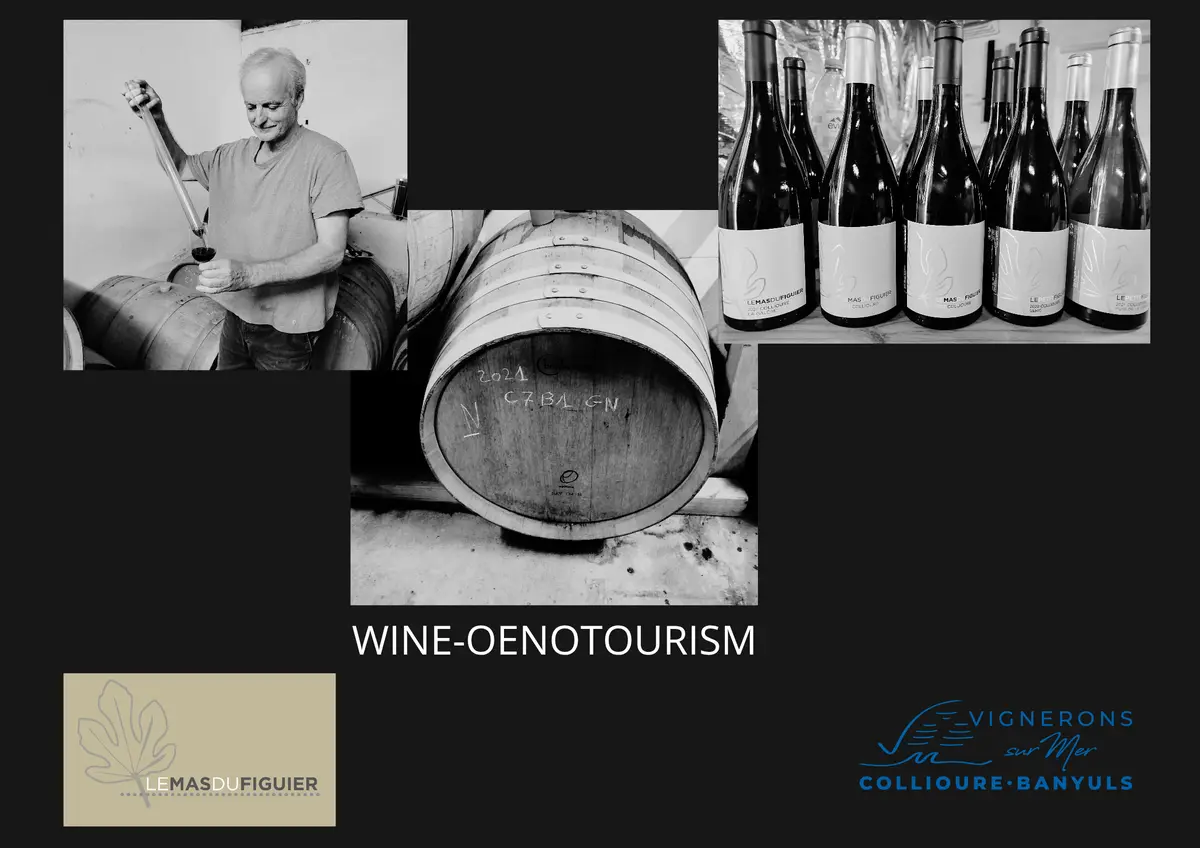 Presentation Et Degustation Des Cuvees Du Mas Du Figuier