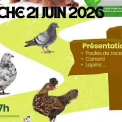 Présentation et vente