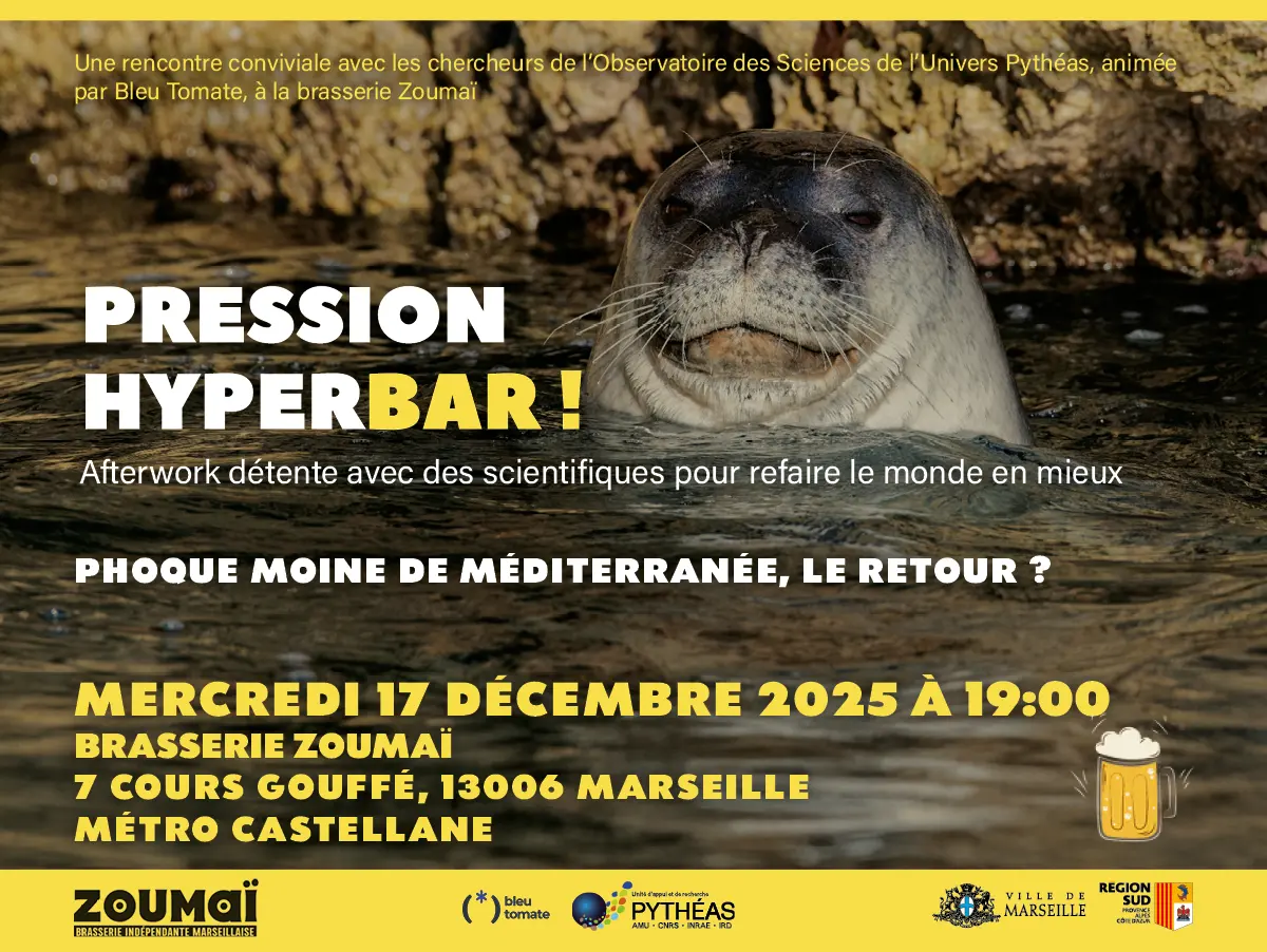 Pression hyperbar ! Phoque moine de Méditerranée, le retour ?