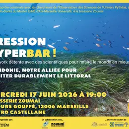 Pression HyperBar ! Posidonie, notre alliée pour habiter durablement le littoral