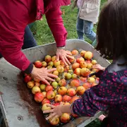 Pressons ! Pressons !