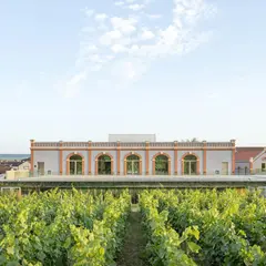 PRESSORIA - Un voyage sensoriel au cœur du champagne