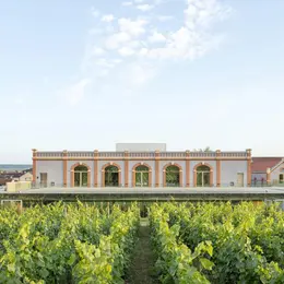 PRESSORIA - Un voyage sensoriel au cœur du champagne