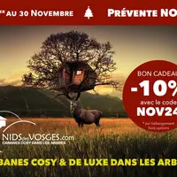 Un code promo pour vos cadeaux de Noël DR