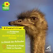 PRINTEMPS A LA FERME - La Balade des Autruches - Portes ouvertes