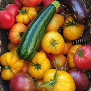 Printemps à la ferme - Le Lopin de Serre