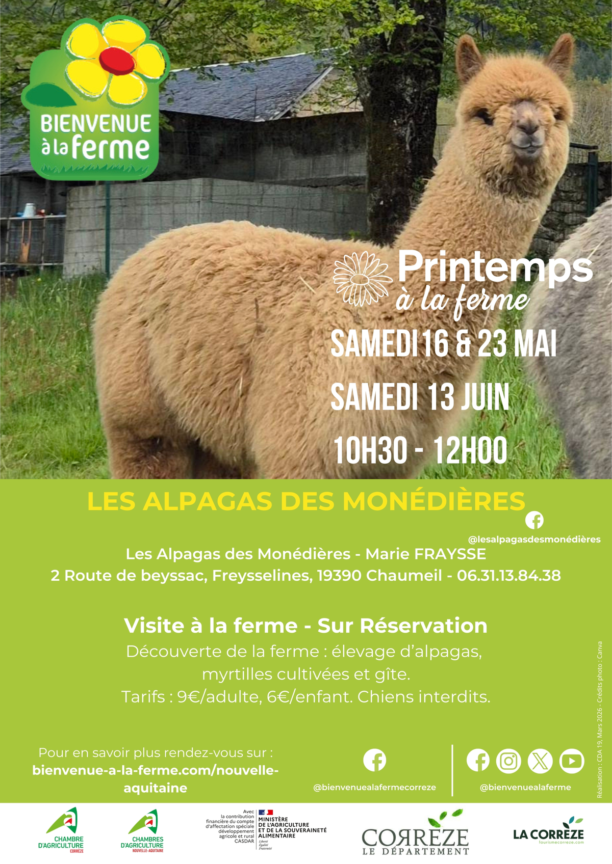 Printemps à la ferme - Les Alpagas des Monédières