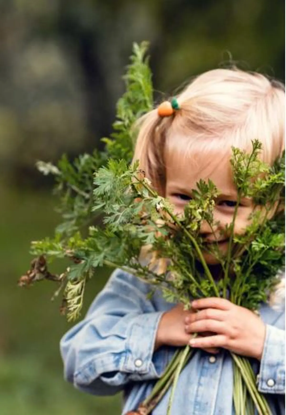 Printemps à la ferme - les colombiers de la Xaintrie