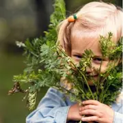 Printemps à la ferme - les colombiers de la Xaintrie