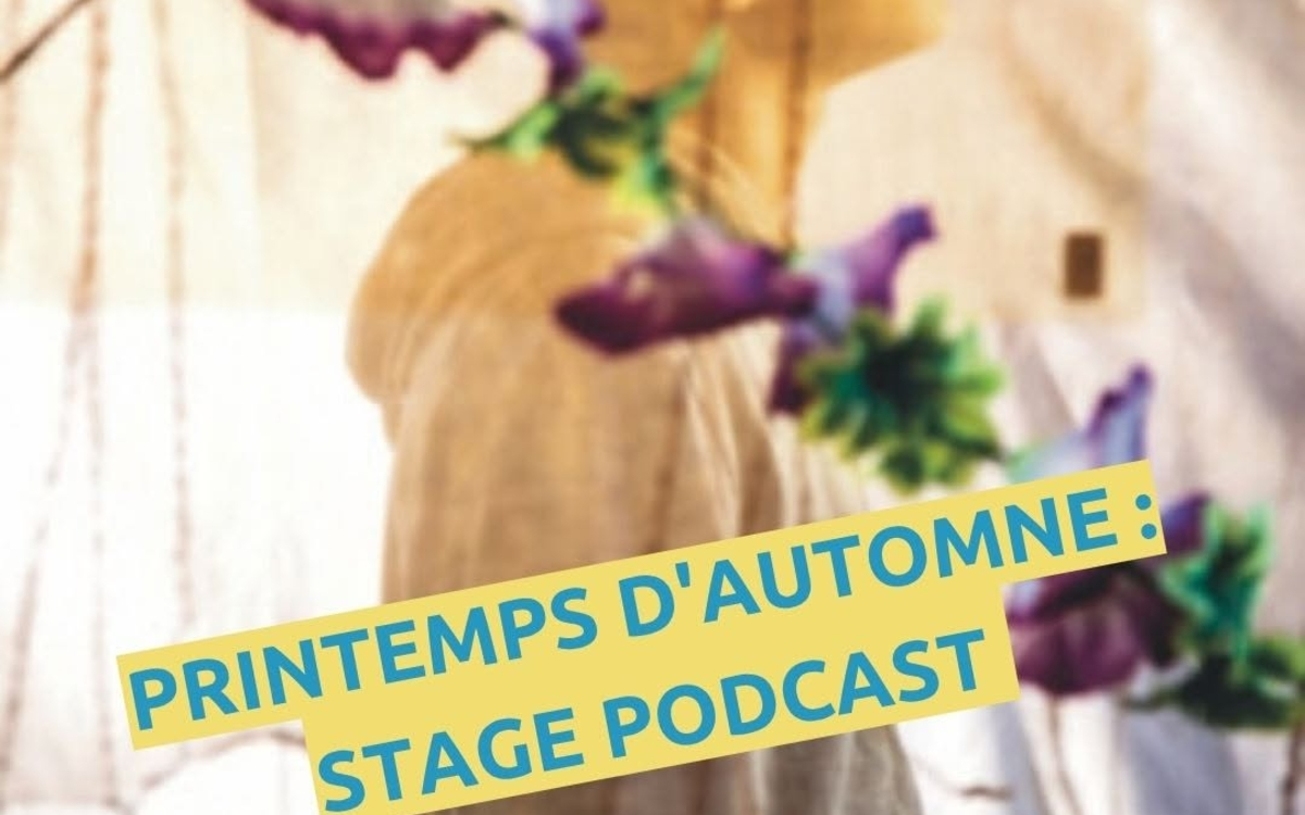stage podcast création sonore