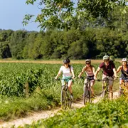 Printemps de la biodiversité - Balade printanière à vélo