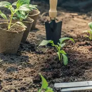 Printemps de la biodiversité - Comment réussir ses semis