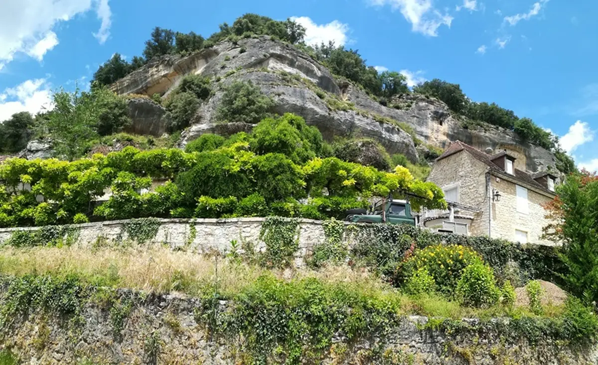 Printemps de la biodiversité - La flore sauvage des Eyzies