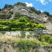 Printemps de la biodiversité - La flore sauvage des Eyzies