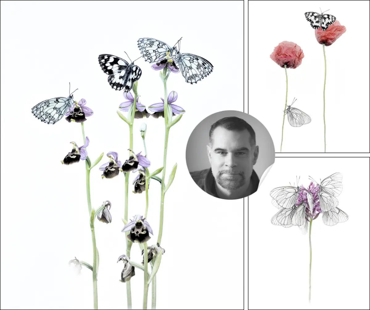 Printemps de la Photo et des Arts de Romorantin