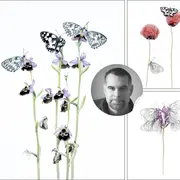 Printemps de la Photo et des Arts de Romorantin