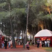 Sorties dans l'Hérault ce week-end (29 au 31 mai 2026) : 9 bons plans à découvrir d'urgence